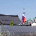 46-2.jpg