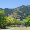 55-1.jpg