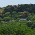 55-3.jpg