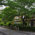 64-1.jpg