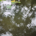 102-3.jpg