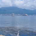 112-3.jpg