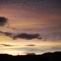 118-2.jpg