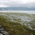 120-3.jpg