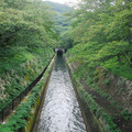 121-1.jpg