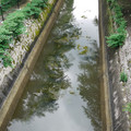 121-3.jpg