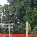 122-1.jpg