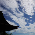 124-1.jpg