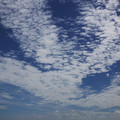 124-2.jpg