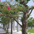 129-1.jpg
