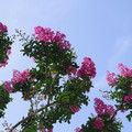 129-2.jpg