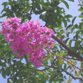 129-3.jpg