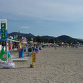 131-2.jpg
