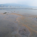 135-1.jpg