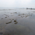 135-2.jpg