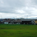 169-2.jpg