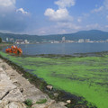 173-1.jpg