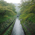175-1.jpg