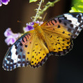 180-3.jpg