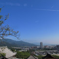181-2.jpg