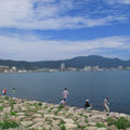 181-3.jpg