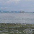 182-1.jpg