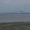 182-3.jpg