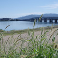 183-3.jpg