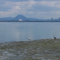 187-1.jpg