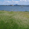 189-2.jpg