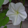 190-1.jpg