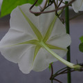 190-2.jpg
