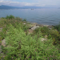 192-1.jpg