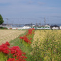 194-1.jpg