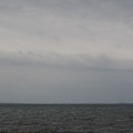 195-2.jpg