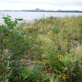 196-2.jpg