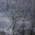 196-3.jpg