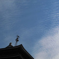 202-1.jpg