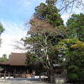247-1.jpg