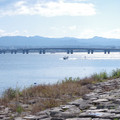 249-1.jpg