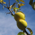 251-3.jpg