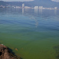 252-1.jpg