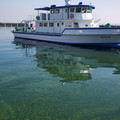 252-3.jpg