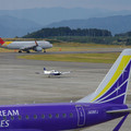 254-2.jpg