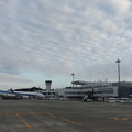 254-3.jpg