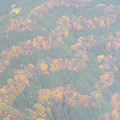 255-1.jpg