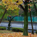 256-3.jpg