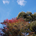 257-1.jpg