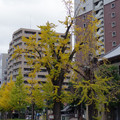 260-3.jpg