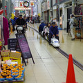 261-3.jpg
